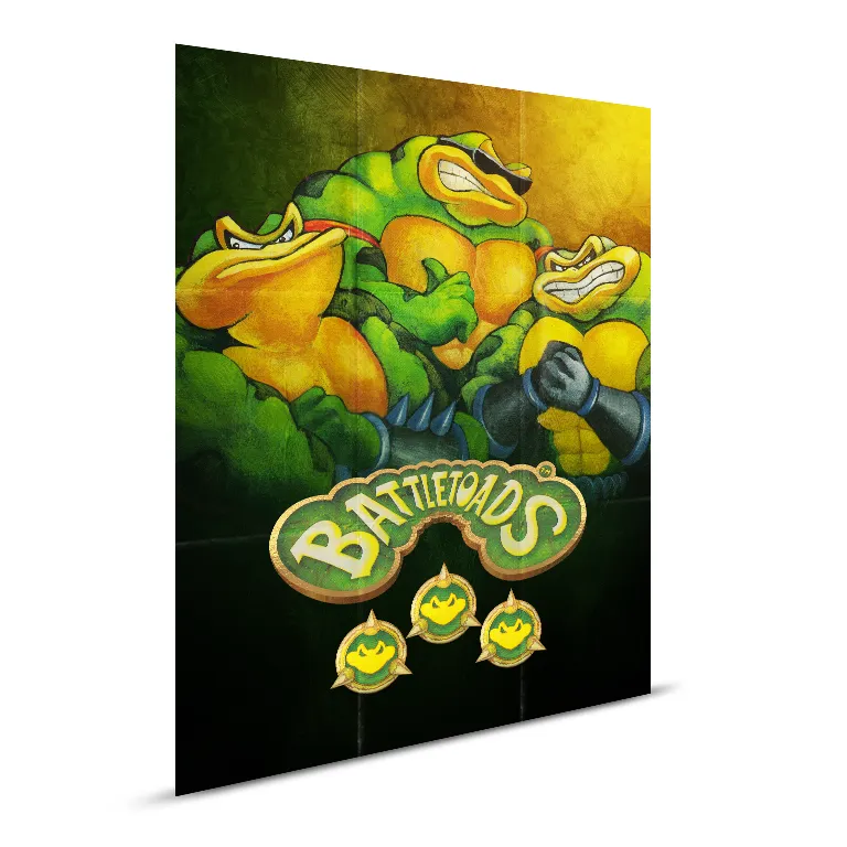 Battletoads - Legacy Cartridge Collection