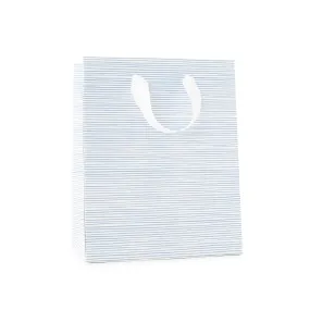 Blue Painted Stripe Gift Bag