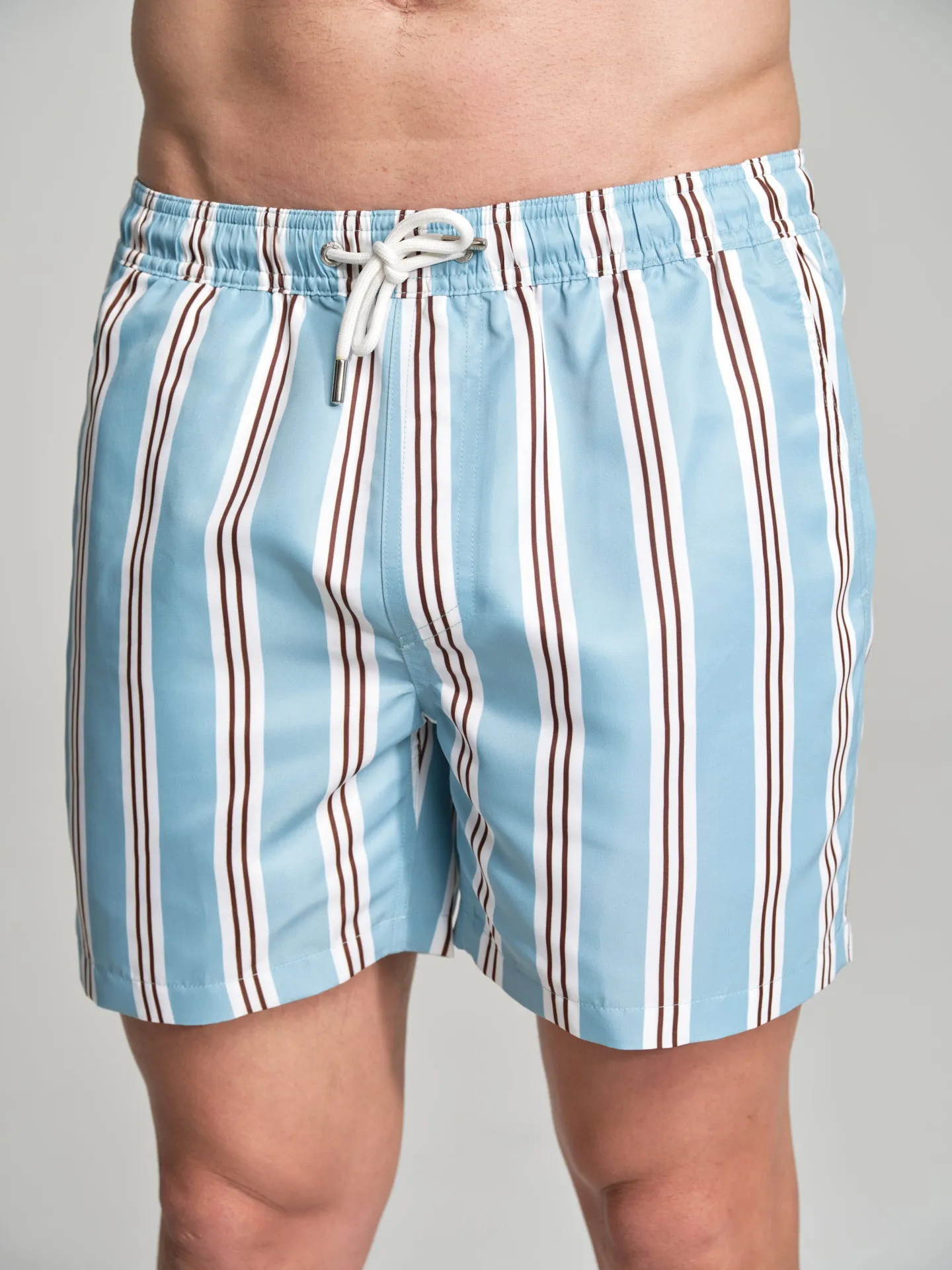 Havana Collection striped swim shorts