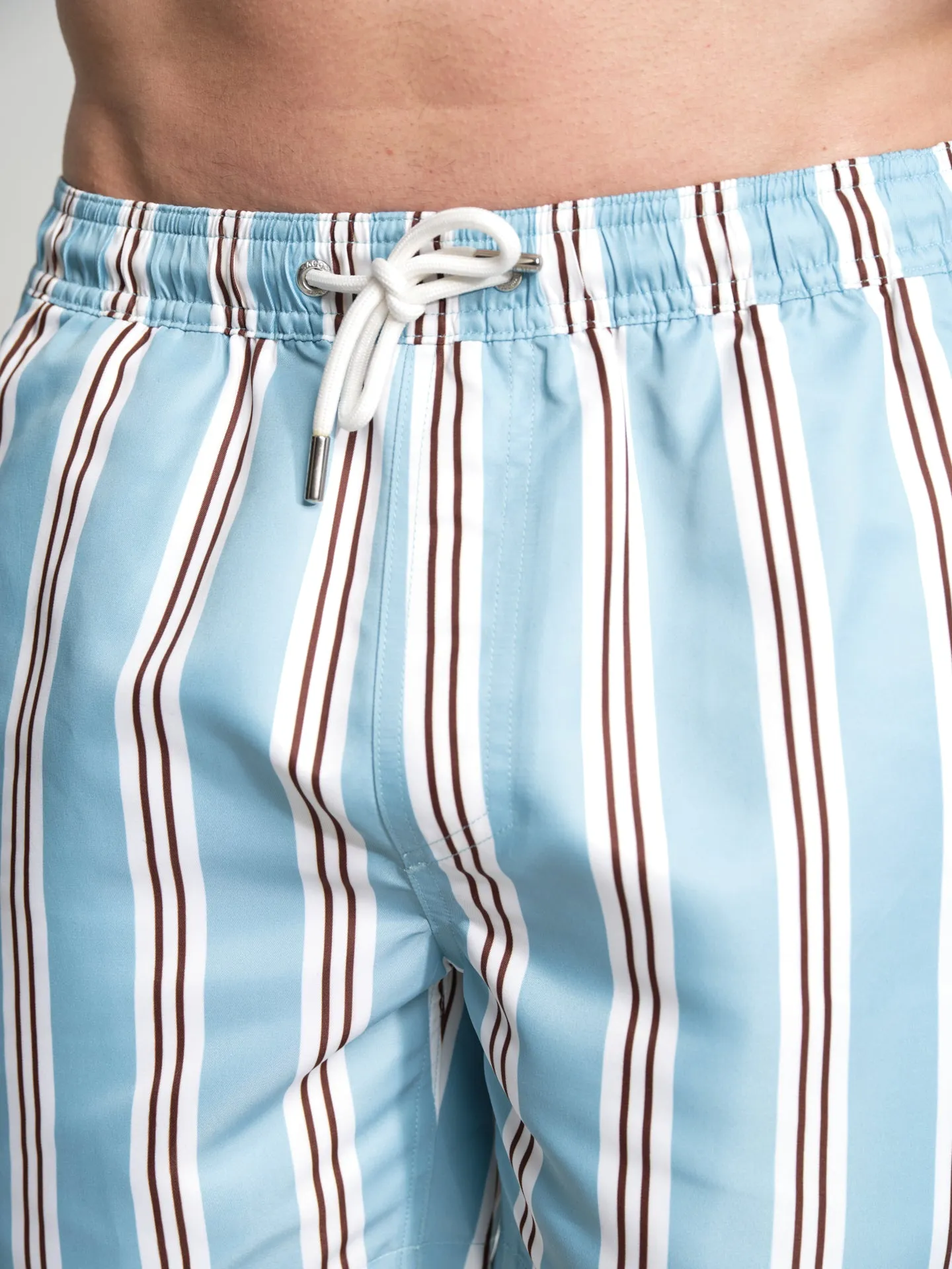 Havana Collection striped swim shorts